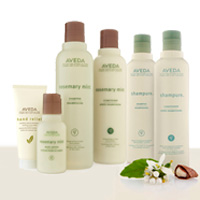 로즈마리 MINT & Shampure - AVEDA